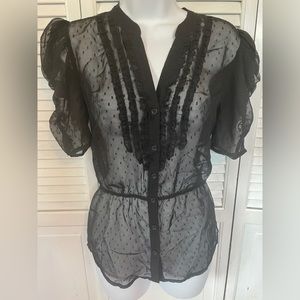 Susina Black Sheer Button Up Blouse Medium
